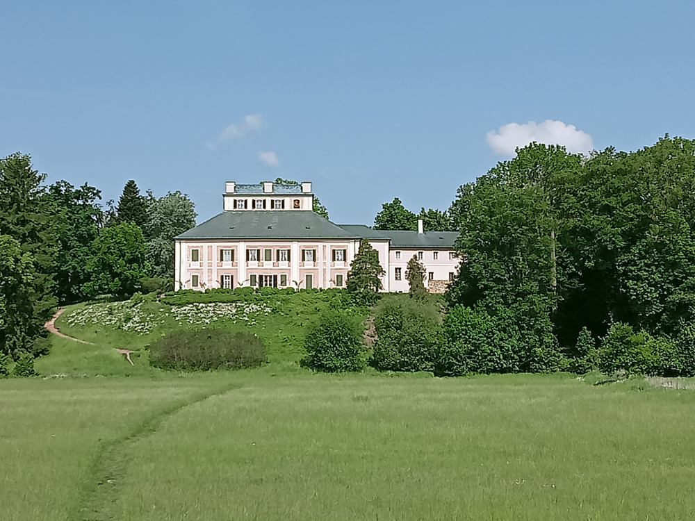 IMG20260524100123.jpg