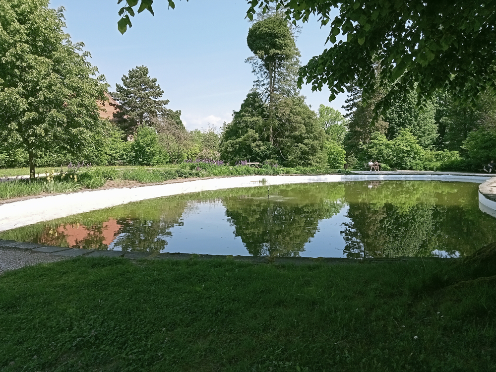IMG20260524114356.jpg