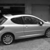 homer33